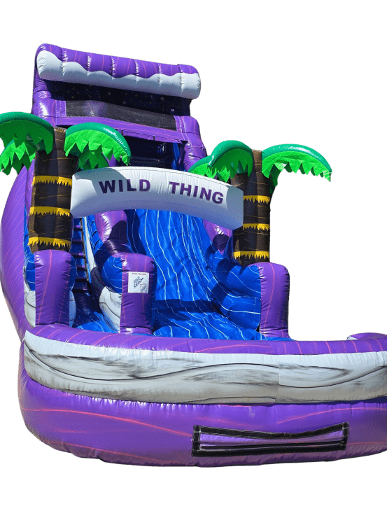 18' Purple Plunge Water Slide