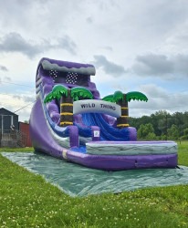 f0f01e86 5edb 4e9b 8f23 0513d71b0fe9 20250516 121346 0000201 17 1 18' Purple Plunge Water Slide